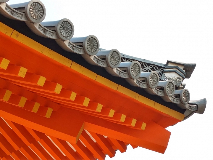 [京都]櫻花2019滿開第一發搶先看＆最新情報！拍照by iPhone XS MAX, Moto one