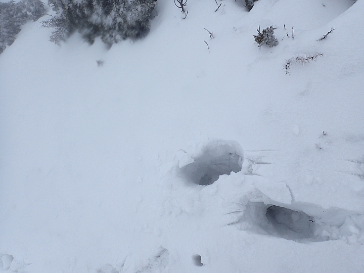 2019抓住冬天的尾巴..雪主賞雪去