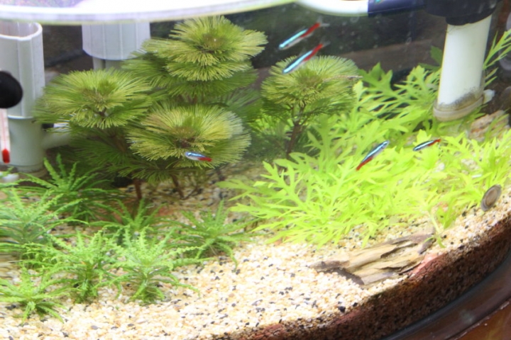洗水管有什麼好處?