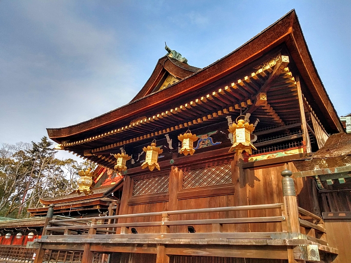 [京都]櫻花2019滿開第一發搶先看＆最新情報！拍照by iPhone XS MAX, Moto one