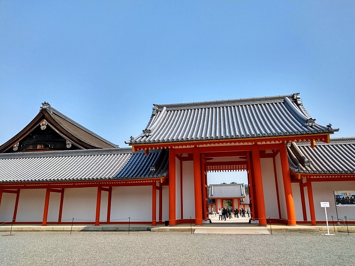 [京都]櫻花2019滿開第一發搶先看＆最新情報！拍照by iPhone XS MAX, Moto one