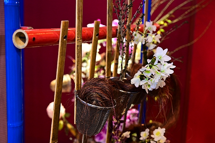 38婦女節快樂，歡迎大家來台南後壁區參觀2019台灣國際蘭展。