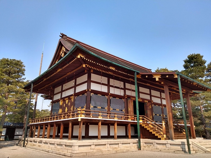 [京都]櫻花2019滿開第一發搶先看＆最新情報！拍照by iPhone XS MAX, Moto one