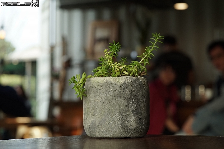 KamLan 50mm f/1.1 II 超大光圈卻有平實售價