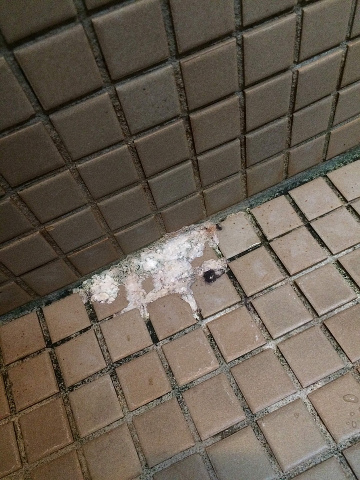 [請益]浴缸磁磚修繕
