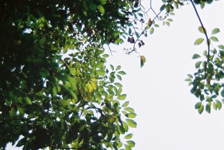 Pentax sf7+ 28-80 F3.5-4.5  單眼冷門機分享