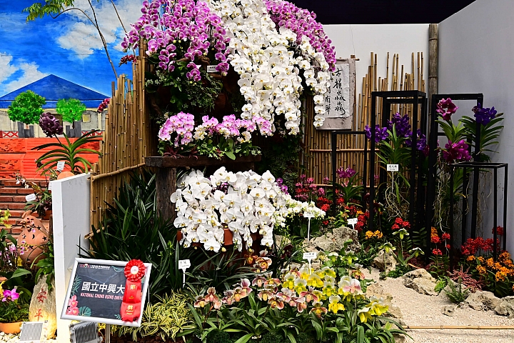 38婦女節快樂，歡迎大家來台南後壁區參觀2019台灣國際蘭展。
