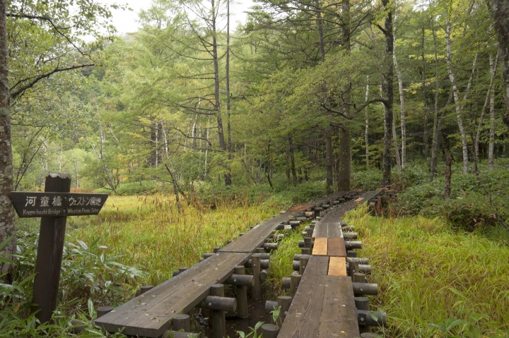 【日本登山初體驗】（一）上高地散策(下)