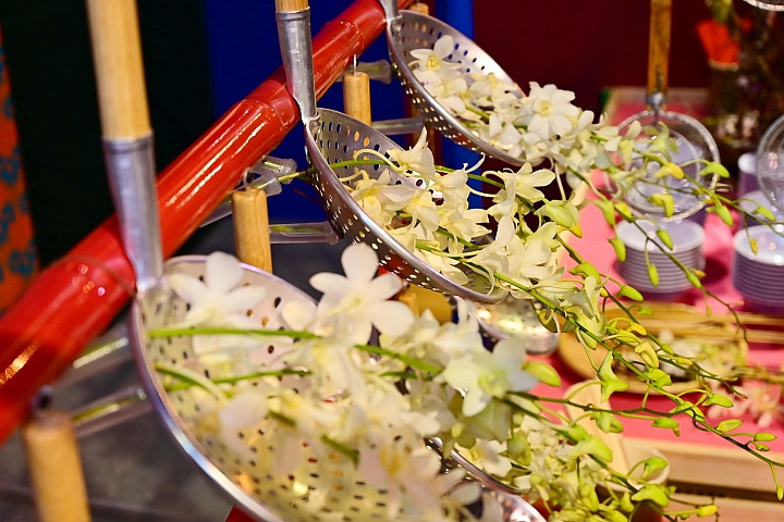 38婦女節快樂，歡迎大家來台南後壁區參觀2019台灣國際蘭展。