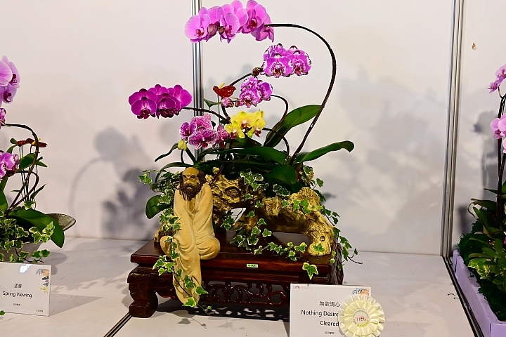 38婦女節快樂，歡迎大家來台南後壁區參觀2019台灣國際蘭展。
