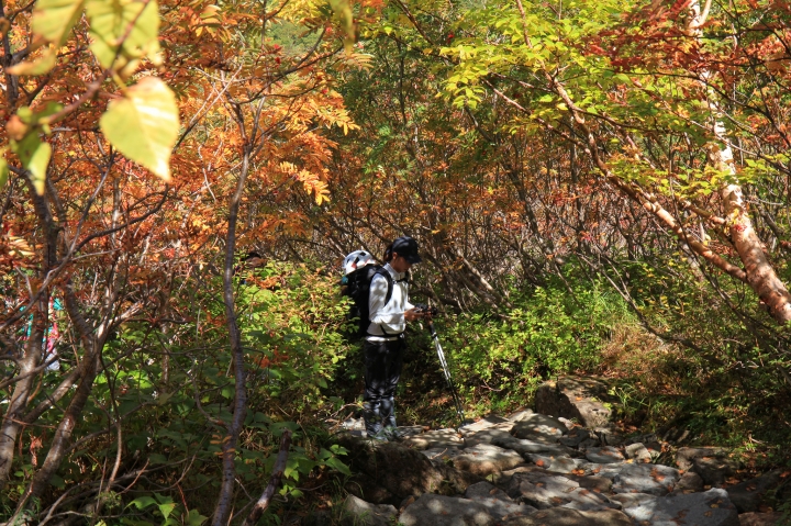 【日本登山初體驗】（二）雨過天晴涸澤圈谷(上)