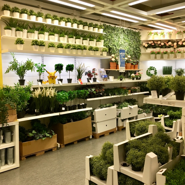 打發時間該去哪裡呢？帶著愛寵 皮卡丘 同逛 IKEA 新莊家具店好像也不錯喔？