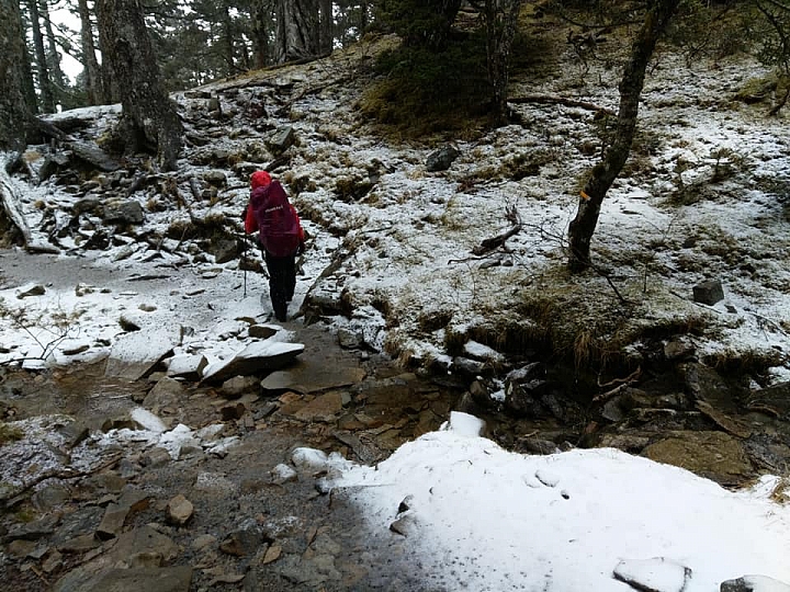 2019抓住冬天的尾巴..雪主賞雪去
