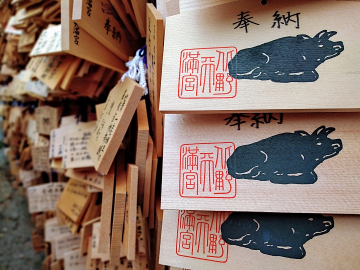 [京都]櫻花2019滿開第一發搶先看＆最新情報！拍照by iPhone XS MAX, Moto one