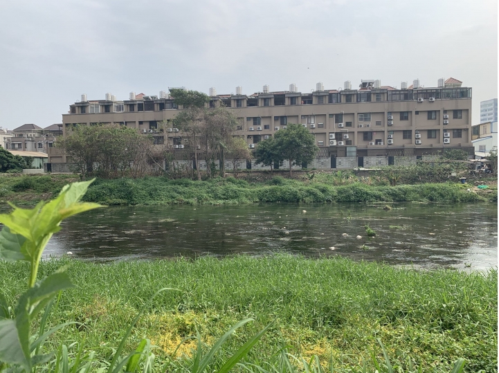 興大康橋-柱中柱(已下訂&有興趣也歡迎來群組交流)