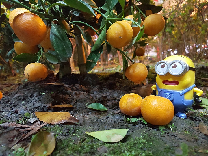 滿足娛樂享受又輕薄的 SHARP AQUOS zero