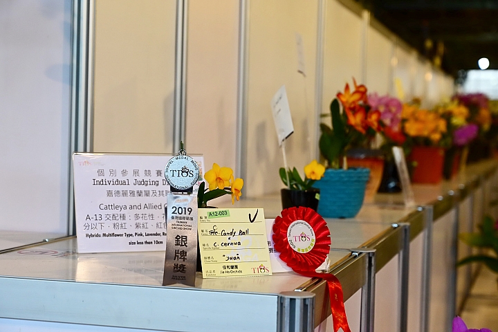 38婦女節快樂，歡迎大家來台南後壁區參觀2019台灣國際蘭展。