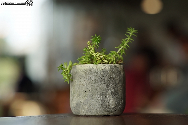 KamLan 50mm f/1.1 II 超大光圈卻有平實售價