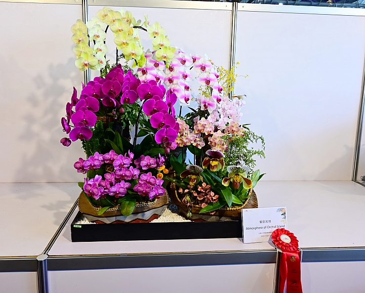 38婦女節快樂，歡迎大家來台南後壁區參觀2019台灣國際蘭展。