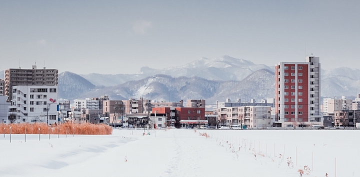 [遊記] 在札幌如果有半天的空檔 來北海道大學走走吧