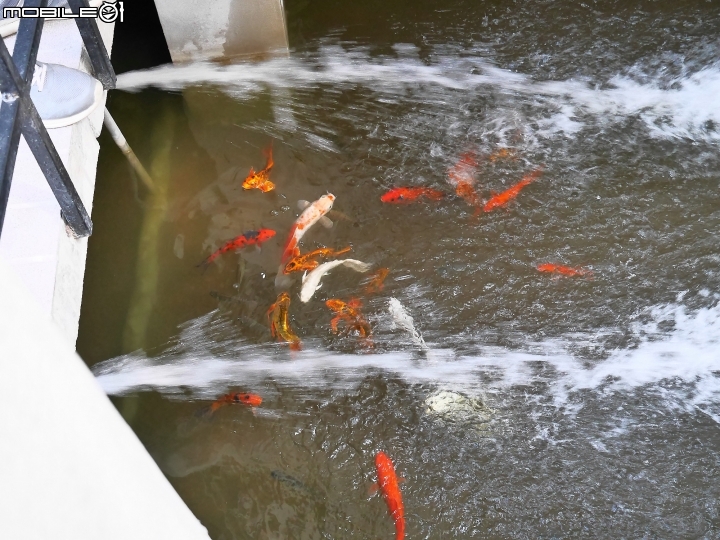 臺南市 中西區 鄭成功文物館 — 保存大量古物的小型博物館