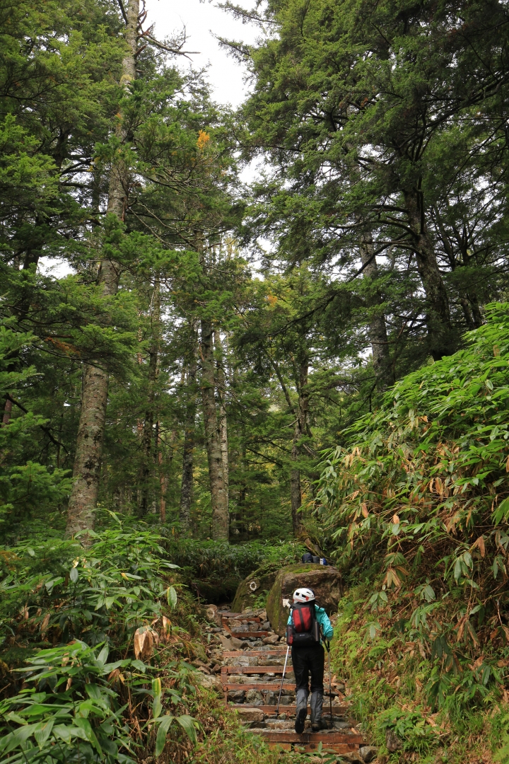 【日本登山初體驗】（二）雨過天晴涸澤圈谷(上)