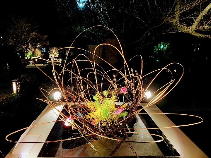 [京都]櫻花2019滿開第一發搶先看＆最新情報！拍照by iPhone XS MAX, Moto one