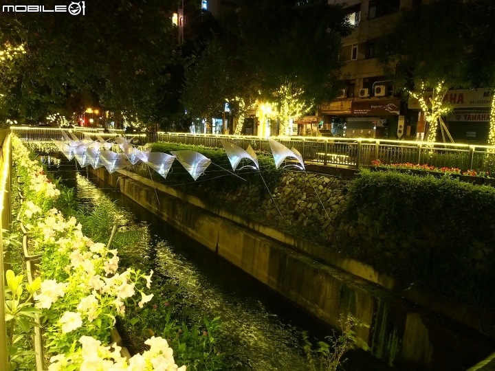 臺中市 中區 綠川光景藝術展 -- 美美綠川夜未眠