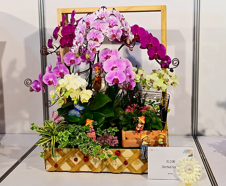 38婦女節快樂，歡迎大家來台南後壁區參觀2019台灣國際蘭展。