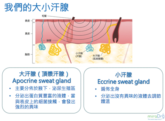 miraDry清新微波 針對狐臭多汗治療的非侵入式 永久性療程