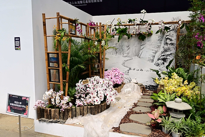 38婦女節快樂，歡迎大家來台南後壁區參觀2019台灣國際蘭展。