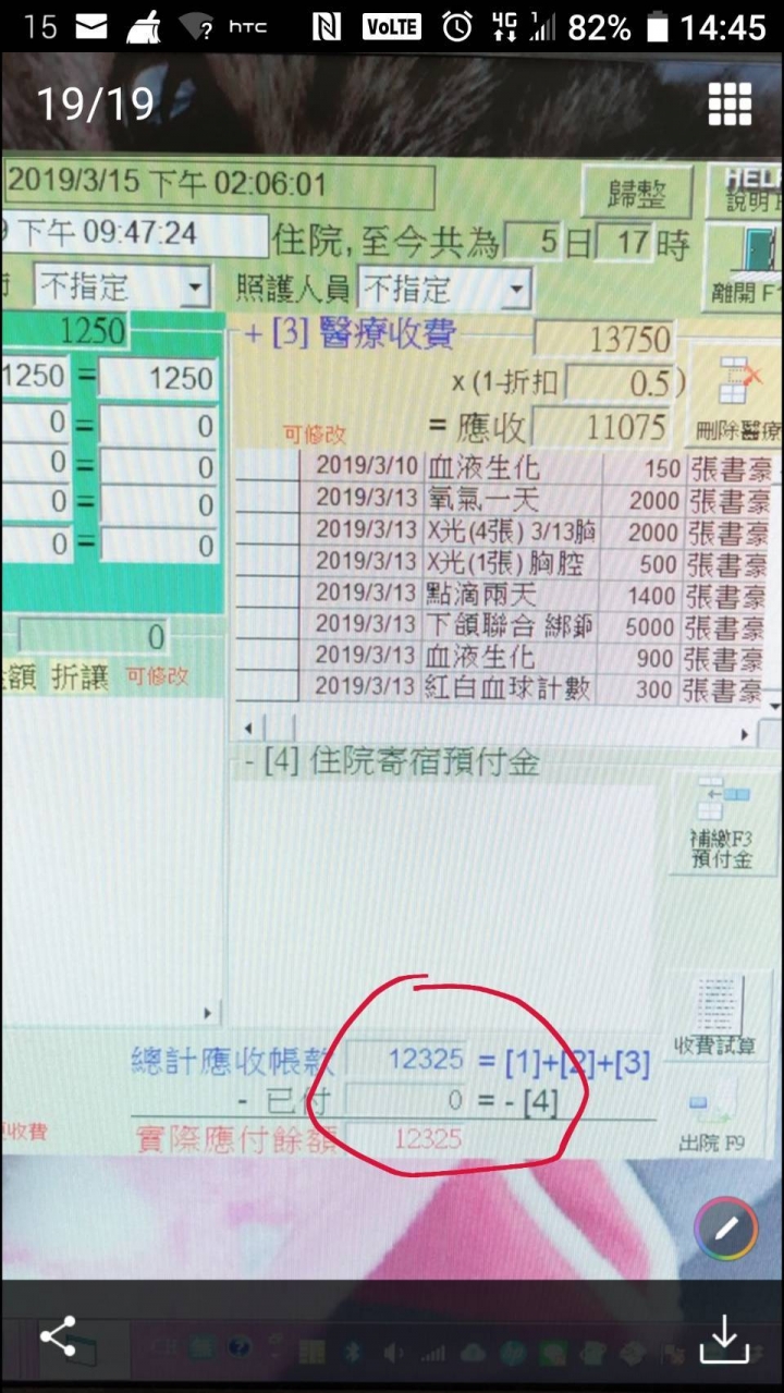 下巴歪小貓咪，重獲新生