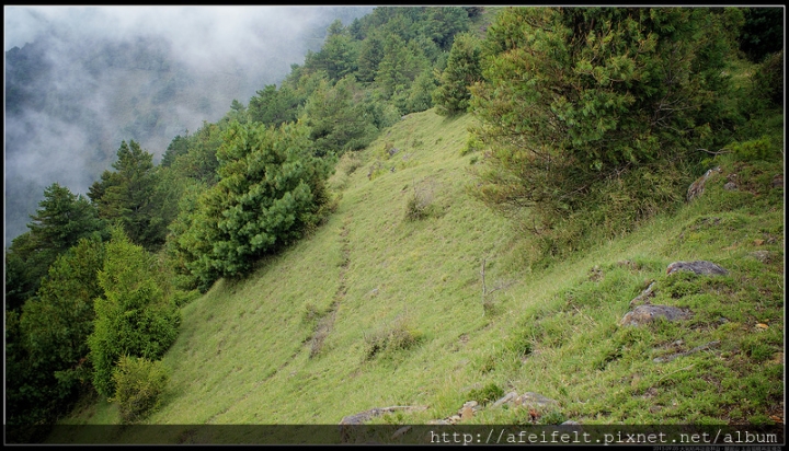 【麟趾山】、【鹿林山】