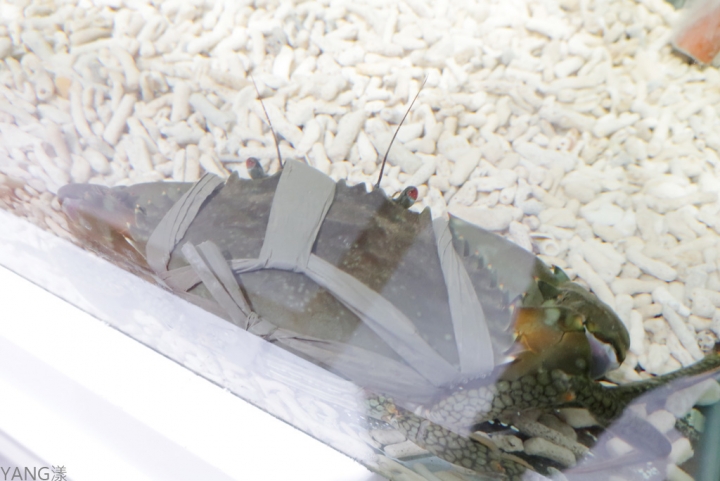 【松山】熊飽鍋物東興店，高質感單點涮涮鍋還有泰迪熊陪吃