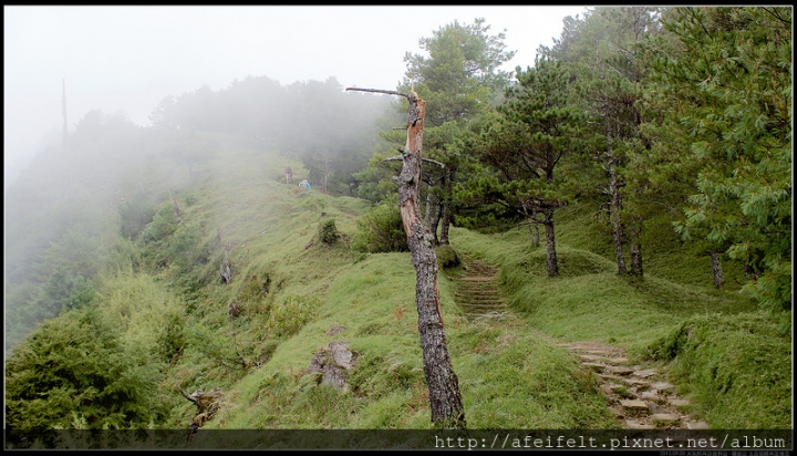 【麟趾山】、【鹿林山】