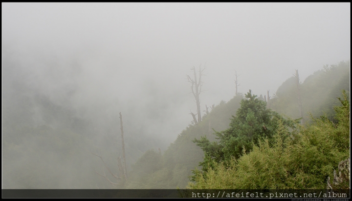 【麟趾山】、【鹿林山】