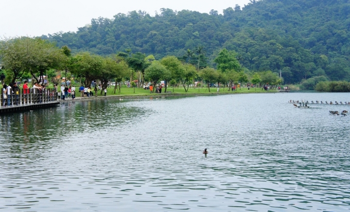 【宜蘭冬山鄉 | 餐廳】縈繞著異國氛圍的築夢木屋✈飛行碼頭 DUCK DOCK