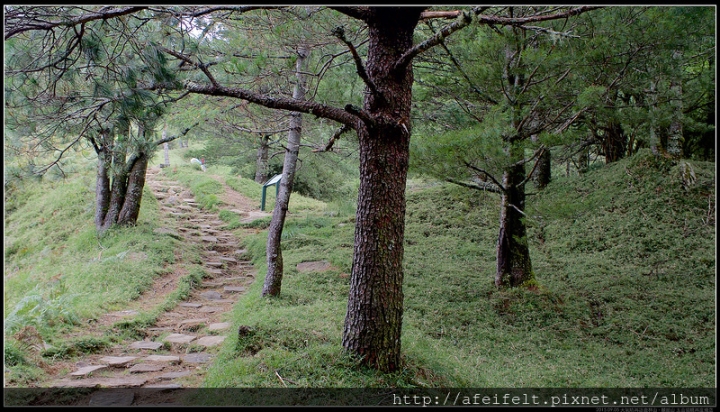 【麟趾山】、【鹿林山】