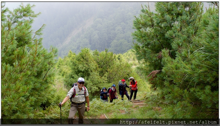 【麟趾山】、【鹿林山】