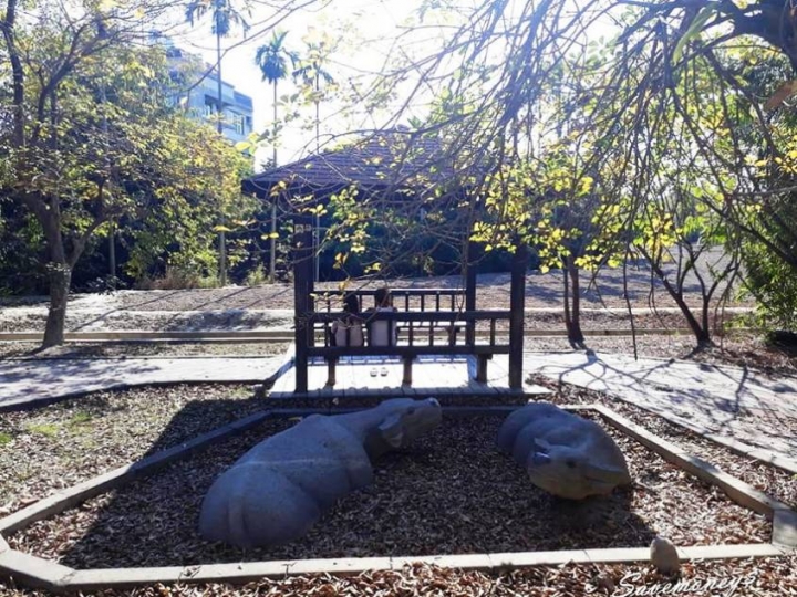 潭雅神綠園道｜S彎道逍遙鐵馬行,春光明媚賞花去 - 達人Emily的播報台