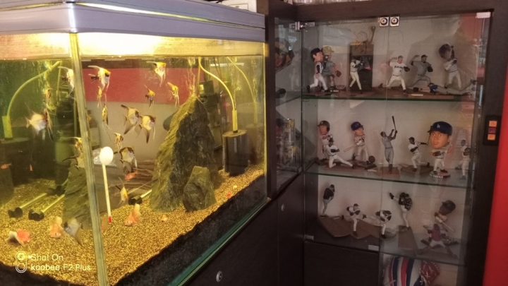 [桃園中壢-中原大學]咖啡控視角的『甯咖啡』--富有溫度的手沖咖啡簡餐店 （同步報導中原電競耳機店）