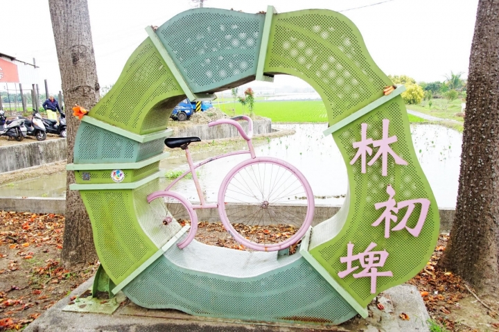 [台南][白河區] 2019林初埤木棉花道｜遊記