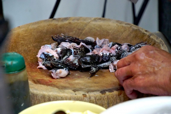 [台南][中西區] 阿川紅燒青蛙（老牌方家炒鱔魚）｜食記