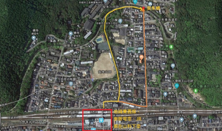 【京都】山科疏水，櫻花、油菜花與疏水道組成的美麗景色