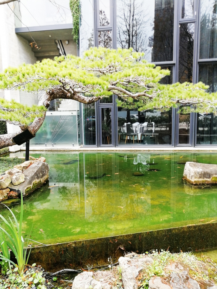 【台中。食記】与玥樓-頂級粵菜料理餐廳