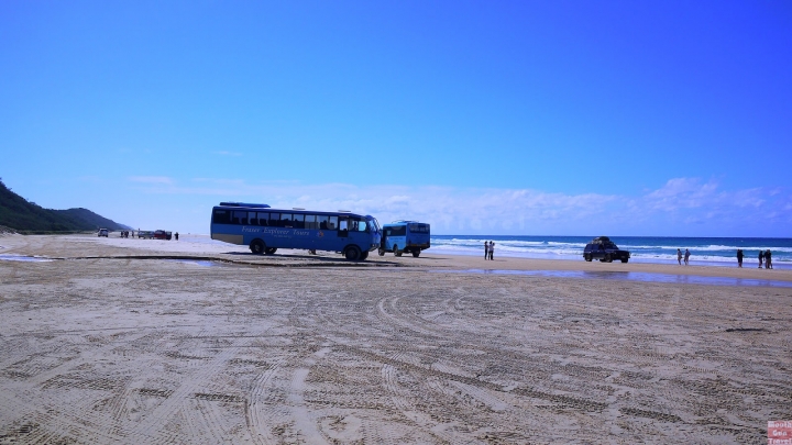 【澳洲●QLD】世界最大沙島Fraser Island 7人自駕2天1夜 (下)