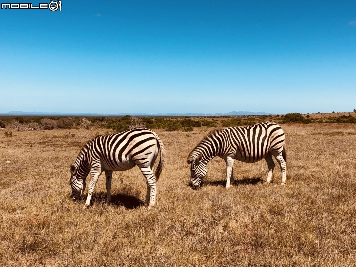 [iPhone X] 南非之旅 THE BEST OF BOTH WORLDS
