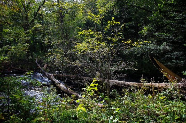 點我看大圖 【日本登山初體驗】旅途的尾聲(四)明神池與梓川右岸