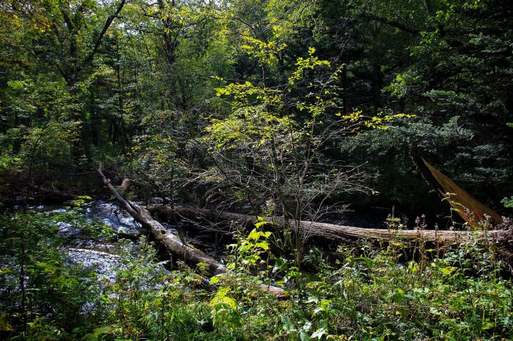 【日本登山初體驗】旅途的尾聲（四）明神池與梓川右岸