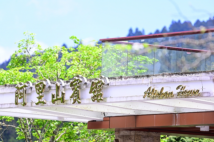 Z6、Z7、P1000也到了阿里山，拍櫻花、拍紫藤、拍紅葉，總共14台Nikon相機記錄阿里山。